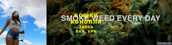 шишки Абинск