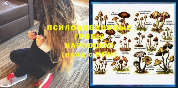 шишки Абинск