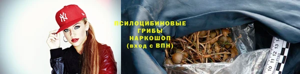 первитин Коряжма