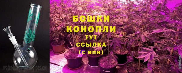 PSILOCYBIN Абаза