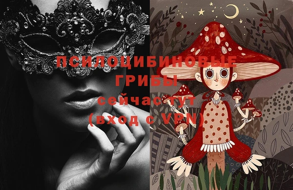 шишки Абинск