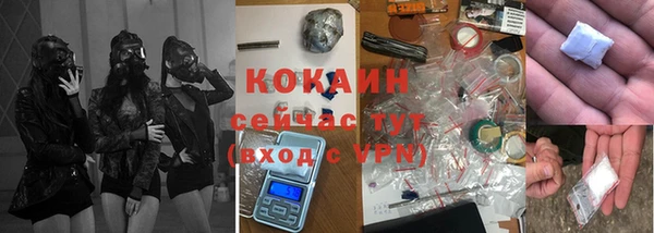 шишки Абинск