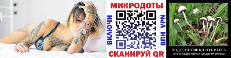 Псилоцибиновые грибы Cubensis  Избербаш 
