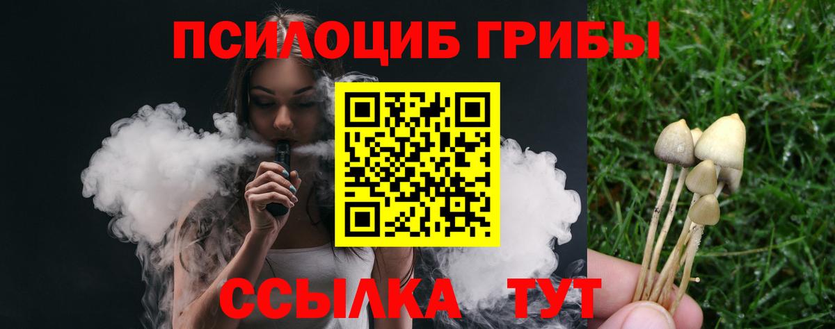 Псилоцибиновые грибы Psilocybine cubensis Избербаш